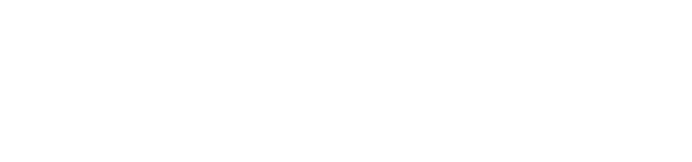 Immo5-WS.png